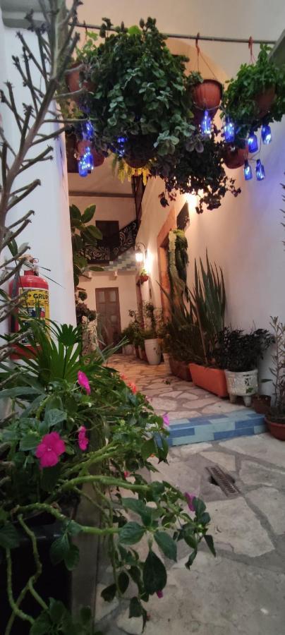 El Jardin De La Abuela Ξενοδοχείο Querétaro Εξωτερικό φωτογραφία