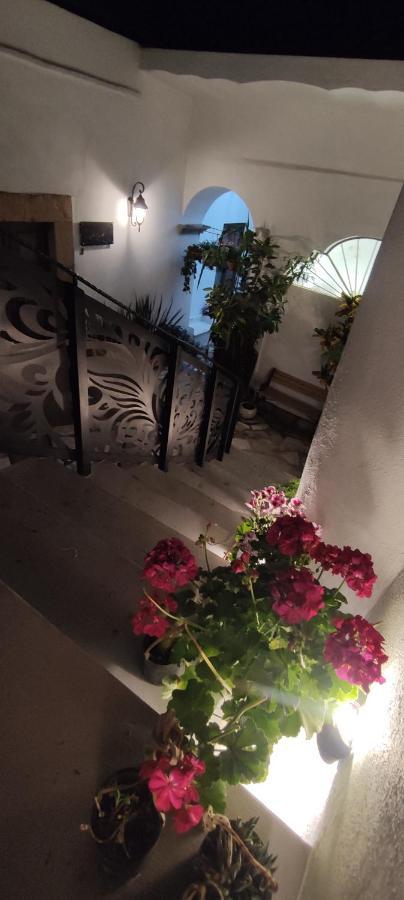 El Jardin De La Abuela Ξενοδοχείο Querétaro Εξωτερικό φωτογραφία